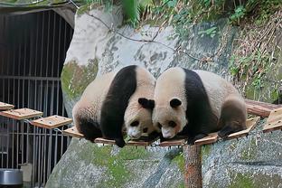 沙特建国日！C罗手捧雄鹰出镜太帅了！